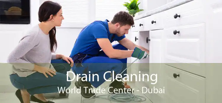 Drain Cleaning World Trade Center - Dubai