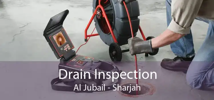 Drain Inspection Al Jubail - Sharjah