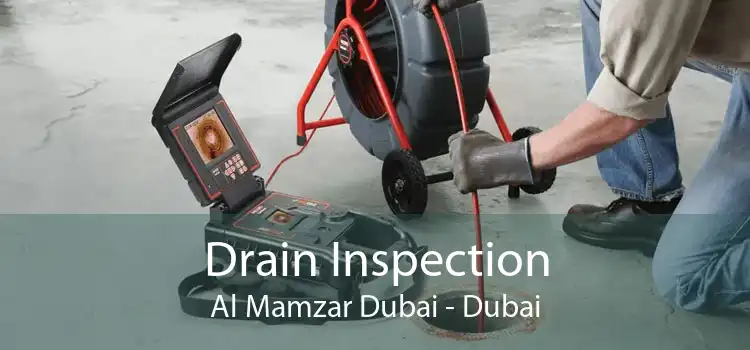 Drain Inspection Al Mamzar Dubai - Dubai