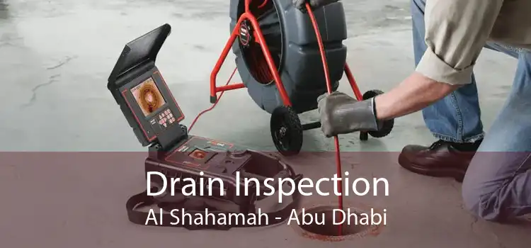 Drain Inspection Al Shahamah - Abu Dhabi