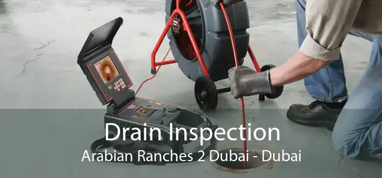 Drain Inspection Arabian Ranches 2 Dubai - Dubai