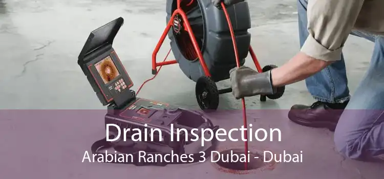 Drain Inspection Arabian Ranches 3 Dubai - Dubai