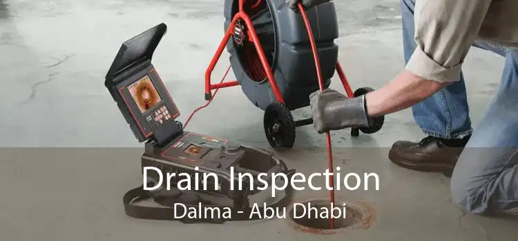 Drain Inspection Dalma - Abu Dhabi