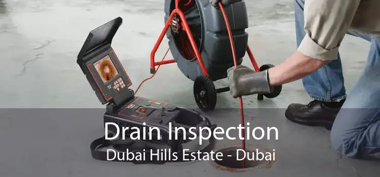 Drain Inspection Dubai Hills Estate - Dubai