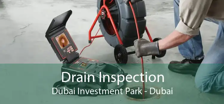 Drain Inspection Dubai Investment Park - Dubai