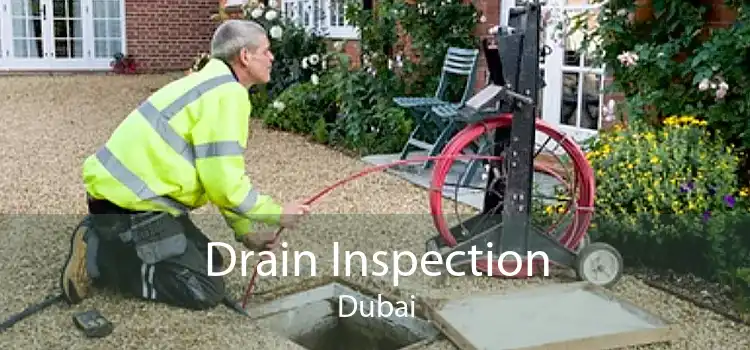 Drain Inspection Dubai