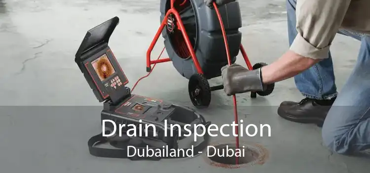 Drain Inspection Dubailand - Dubai