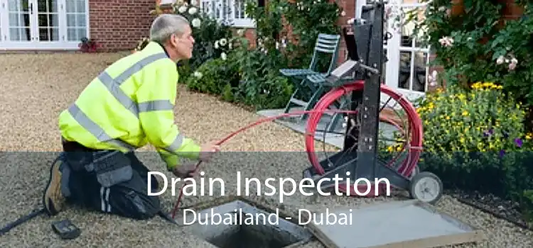 Drain Inspection Dubailand - Dubai