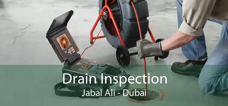 Drain Inspection Jabal Ali - Dubai