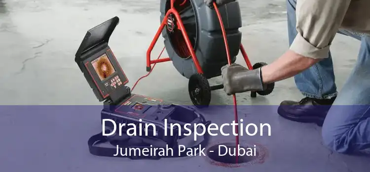 Drain Inspection Jumeirah Park - Dubai