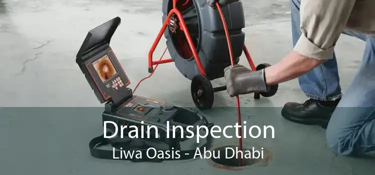 Drain Inspection Liwa Oasis - Abu Dhabi