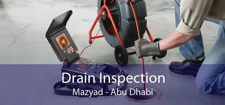 Drain Inspection Mazyad - Abu Dhabi