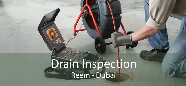 Drain Inspection Reem - Dubai