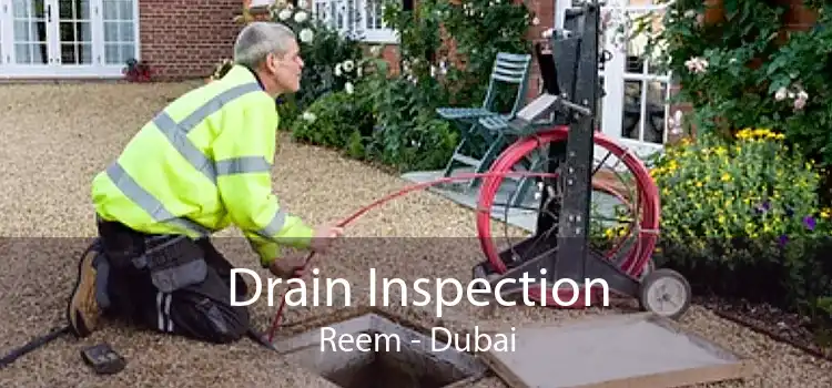 Drain Inspection Reem - Dubai