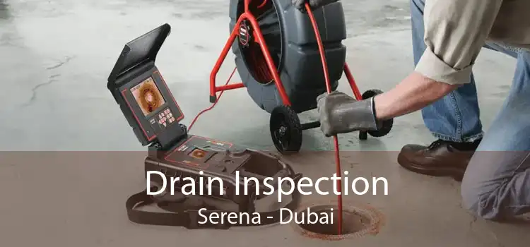 Drain Inspection Serena - Dubai