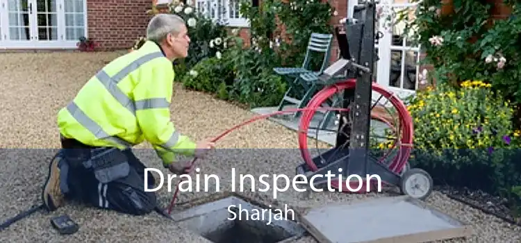 Drain Inspection Sharjah