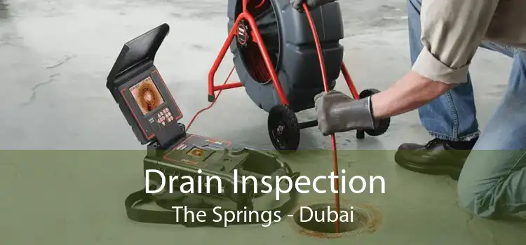 Drain Inspection The Springs - Dubai