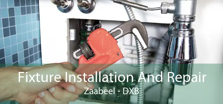 Fixture Installation And Repair Zaabeel - DXB