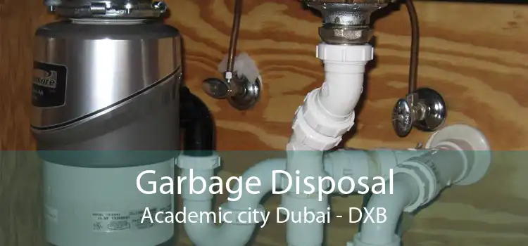Garbage Disposal Academic city Dubai - DXB