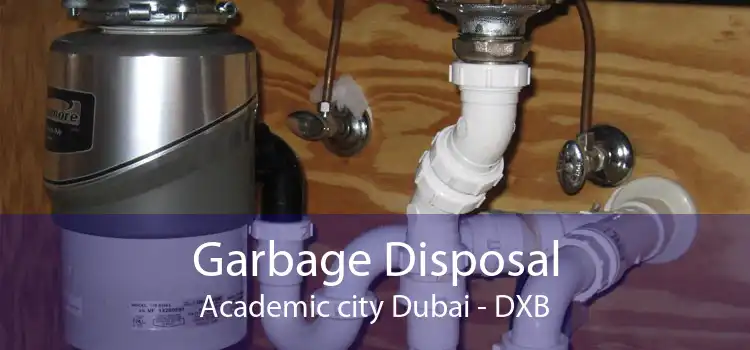 Garbage Disposal Academic city Dubai - DXB