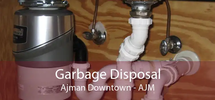 Garbage Disposal Ajman Downtown - AJM