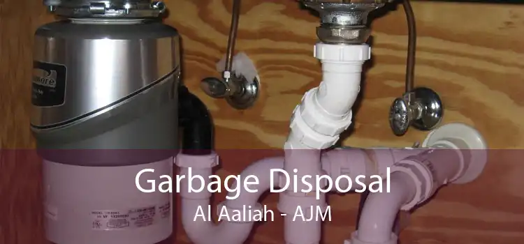 Garbage Disposal Al Aaliah - AJM