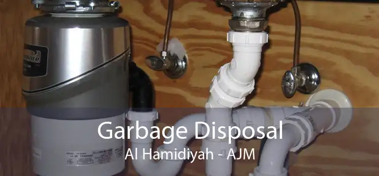 Garbage Disposal Al Hamidiyah - AJM