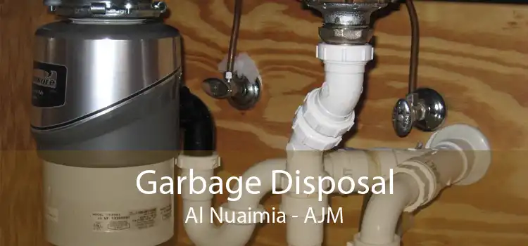 Garbage Disposal Al Nuaimia - AJM