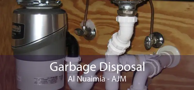 Garbage Disposal Al Nuaimia - AJM