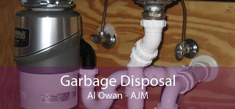 Garbage Disposal Al Owan - AJM