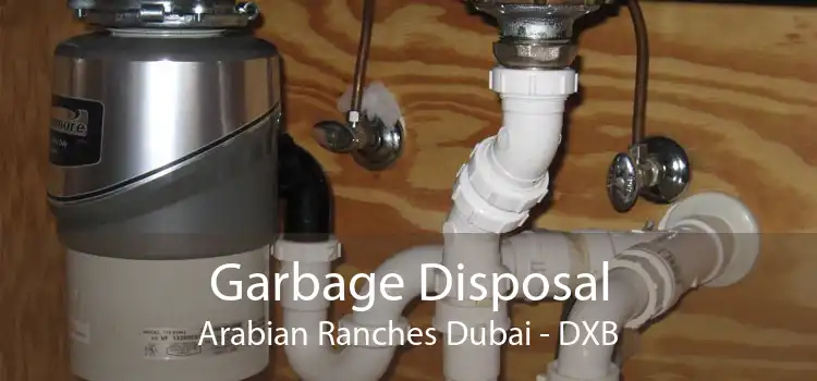 Garbage Disposal Arabian Ranches Dubai - DXB