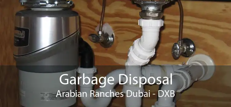 Garbage Disposal Arabian Ranches Dubai - DXB