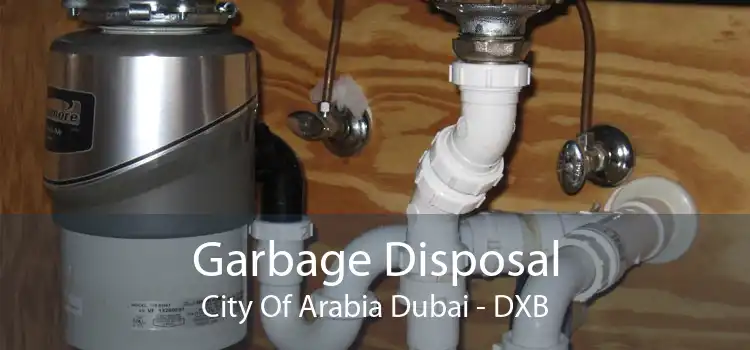 Garbage Disposal City Of Arabia Dubai - DXB