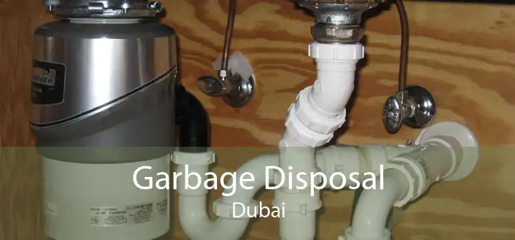 Garbage Disposal Dubai