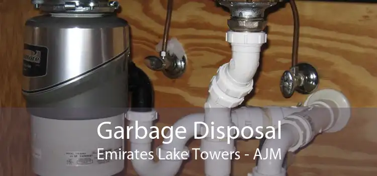 Garbage Disposal Emirates Lake Towers - AJM