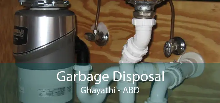 Garbage Disposal Ghayathi - ABD