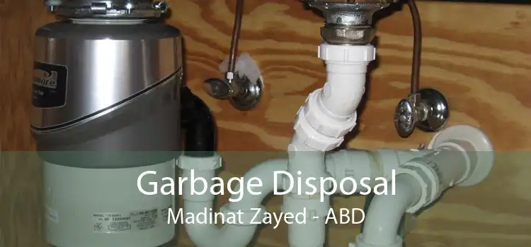 Garbage Disposal Madinat Zayed - ABD