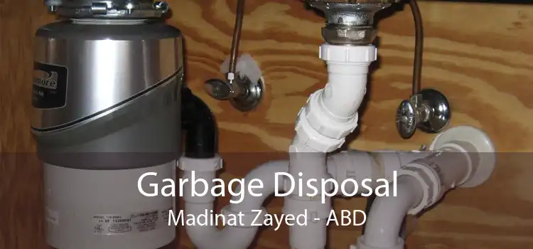 Garbage Disposal Madinat Zayed - ABD