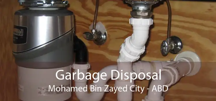 Garbage Disposal Mohamed Bin Zayed City - ABD