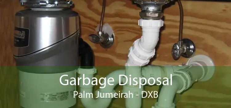 Garbage Disposal Palm Jumeirah - DXB