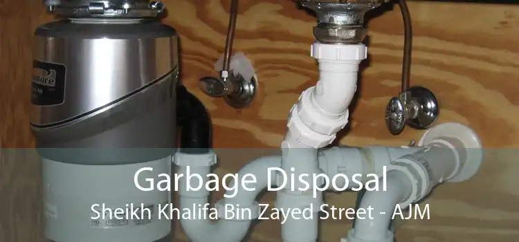 Garbage Disposal Sheikh Khalifa Bin Zayed Street - AJM