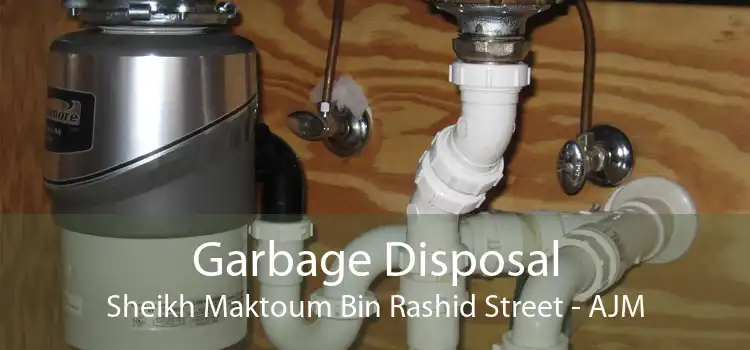 Garbage Disposal Sheikh Maktoum Bin Rashid Street - AJM