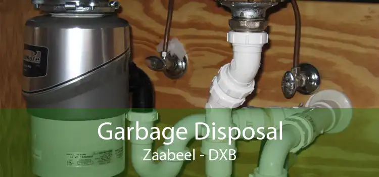 Garbage Disposal Zaabeel - DXB