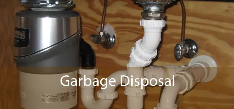 Garbage Disposal 