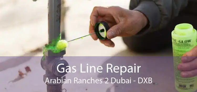 Gas Line Repair Arabian Ranches 2 Dubai - DXB