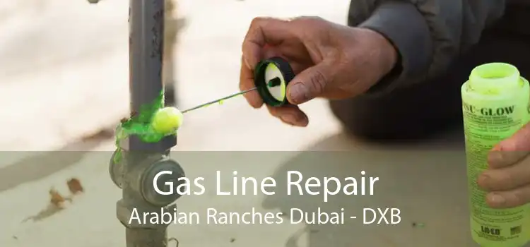 Gas Line Repair Arabian Ranches Dubai - DXB