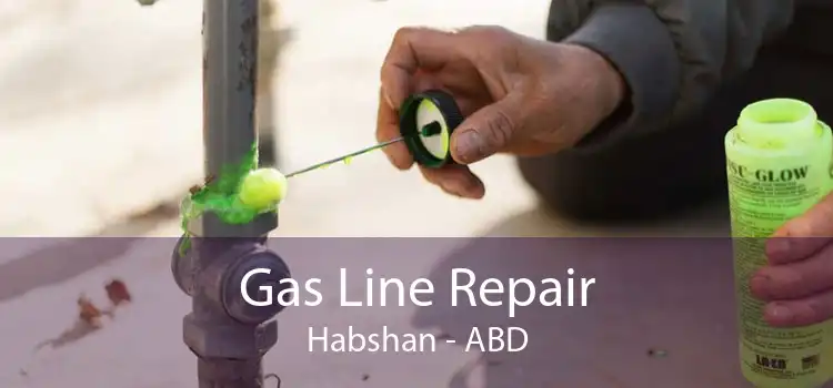 Gas Line Repair Habshan - ABD