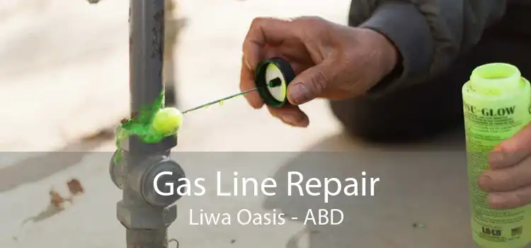 Gas Line Repair Liwa Oasis - ABD