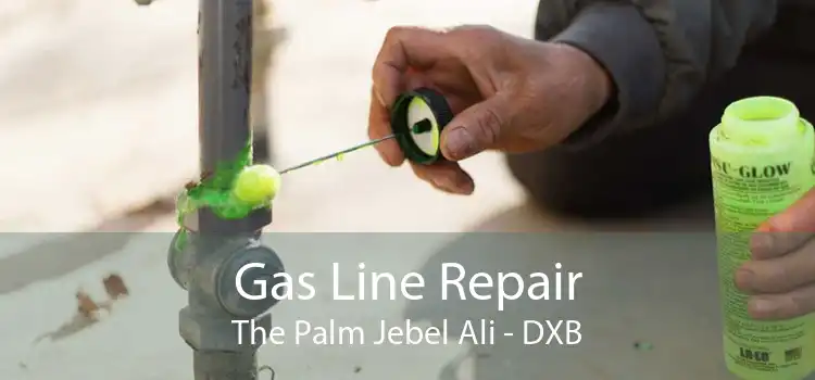 Gas Line Repair The Palm Jebel Ali - DXB