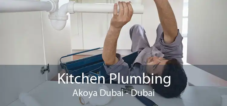 Kitchen Plumbing Akoya Dubai - Dubai